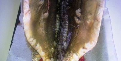 карп в кисло-сладком соусе