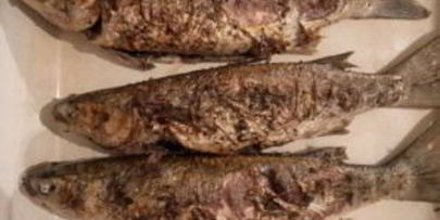 кефаль на мангале