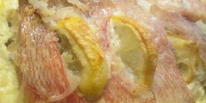 окунь цитрусовый