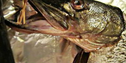 праздничная фаршированная щука