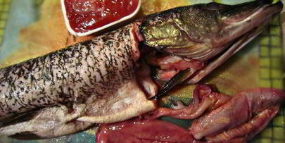 праздничная фаршированная щука