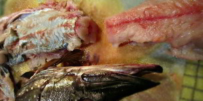 праздничная фаршированная щука