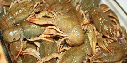 раки в молоке