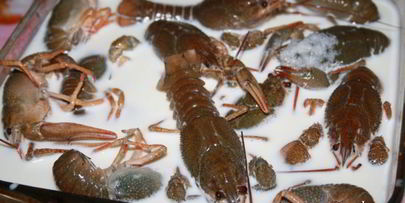 раки в молоке