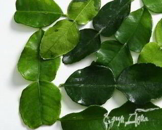 Рыба с лимонным сорго