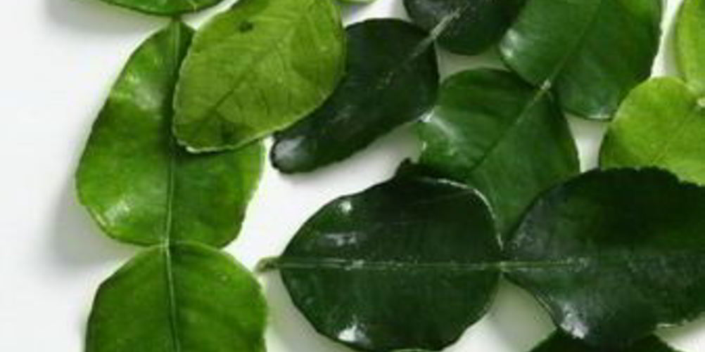 Рецепт рыба с лимонным сорго