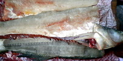 судак по-средиземноморски