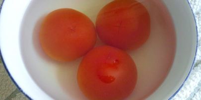 треска мистраль