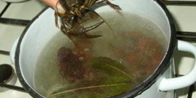 варенные раки