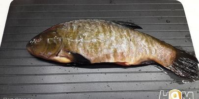 запеченный линь