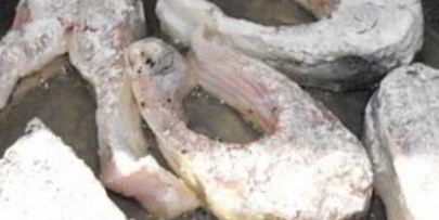 жареная красная рыба