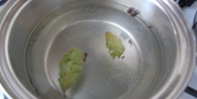 капустка к шашлыку