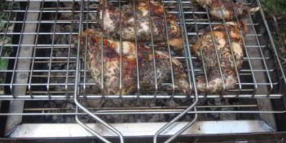 шашлык из кролика