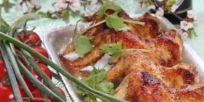 шашлык из крылышек