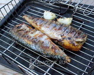 Шашлык из скумбрии на решетке