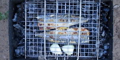 шашлык из скумбрии на решетке