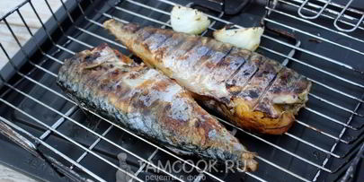 шашлык из скумбрии на решетке
