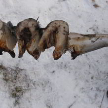 Рецепт Шашлык из скумбрии