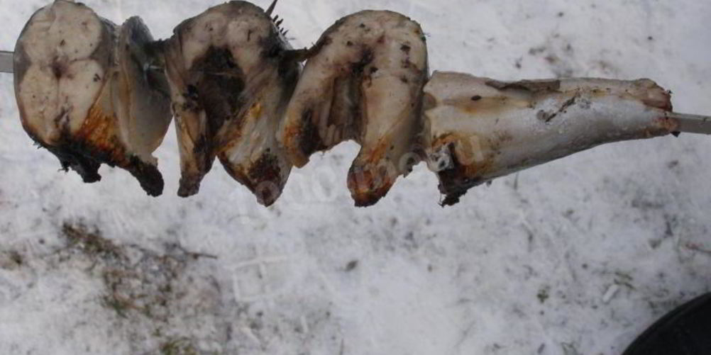 Рецепт шашлык из скумбрии