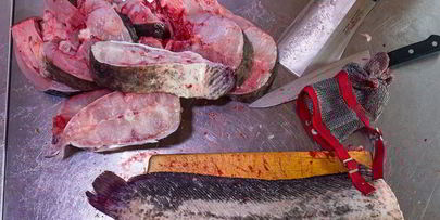 шашлык из сома