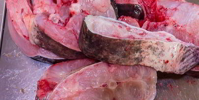 шашлык из сома