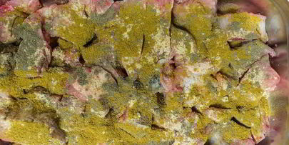 шашлык из сома