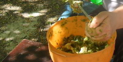 шашлык из свинины весенний аромат