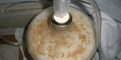 австрийское пиво