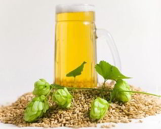 Домашнее пиво из хмеля