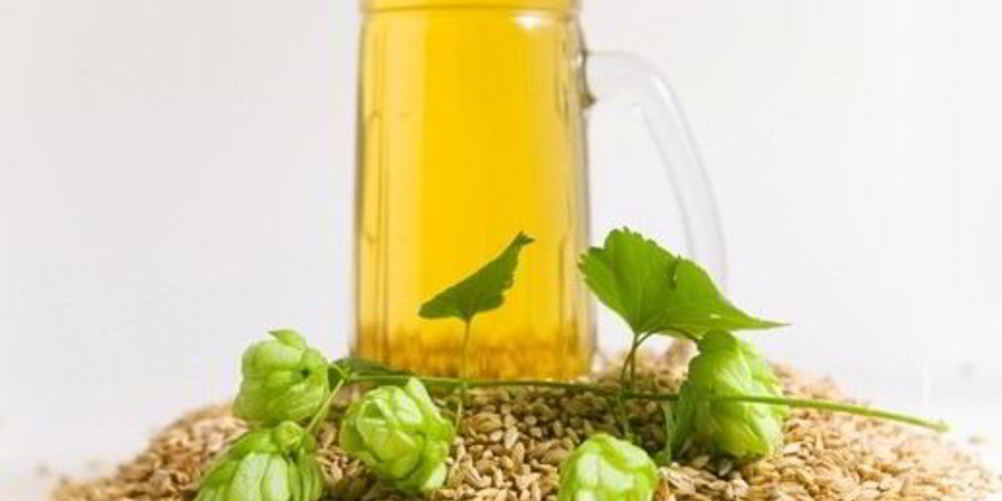 Рецепт домашнее пиво из хмеля