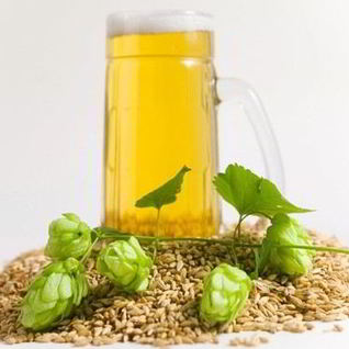 Домашнее пиво из хмеля