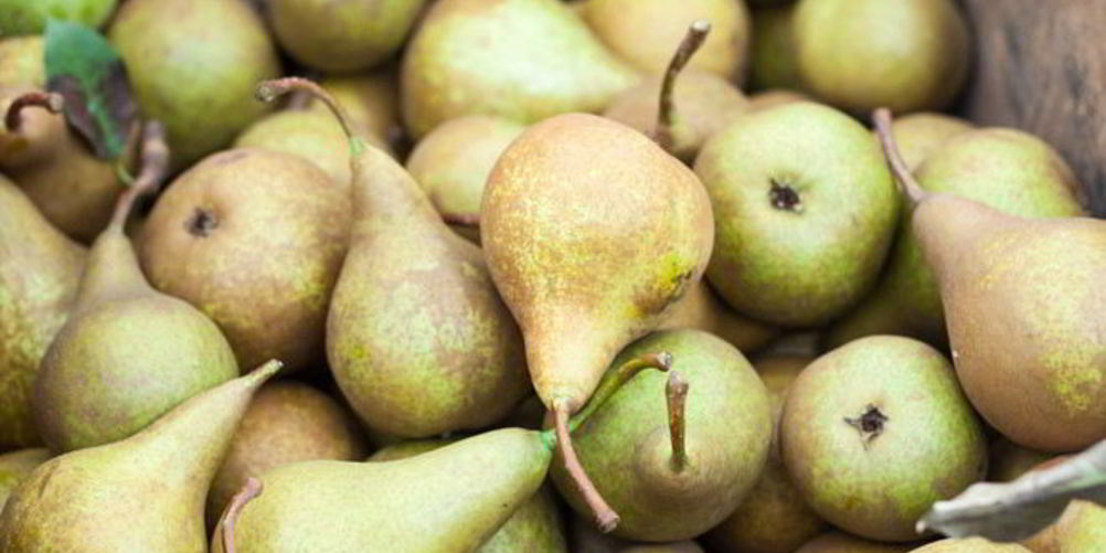 Рецепт домашнее вино из груш