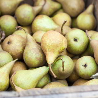 Домашнее вино из груш