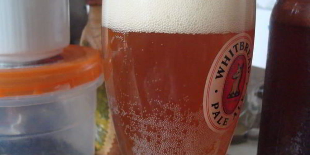 Рецепт домашнее живое пиво