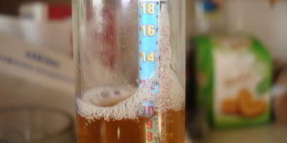 домашнее живое пиво