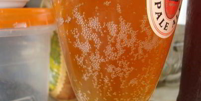 домашнее живое пиво