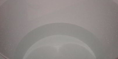 домашнее живое пиво