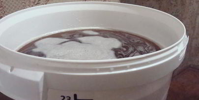 домашнее живое пиво