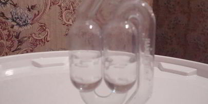 домашнее живое пиво