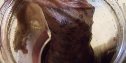 ежевичный сироп для дамских алькогольных напитков