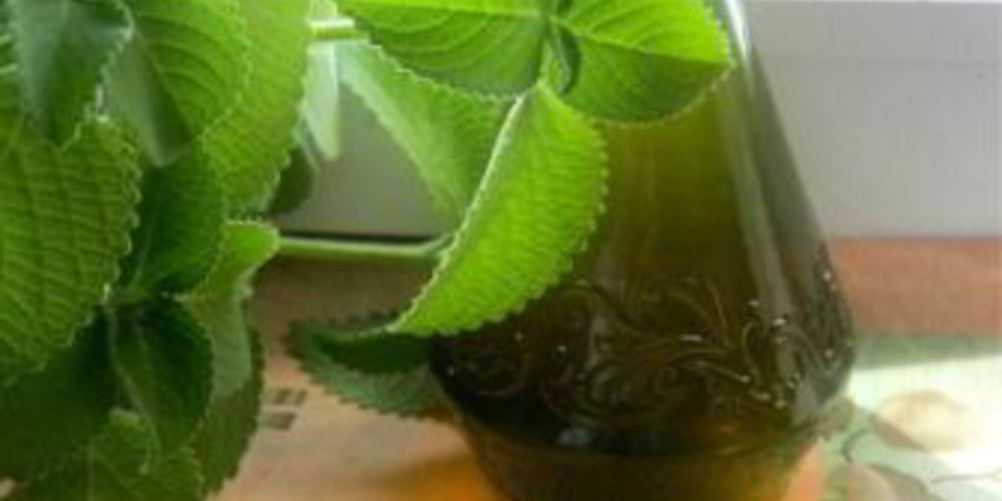 Рецепт мятный сироп