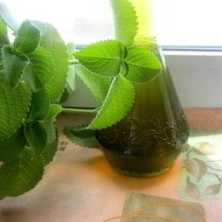 Мятный сироп