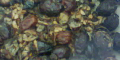 прохладительный напиток из шиповника