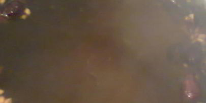 прохладительный напиток из шиповника