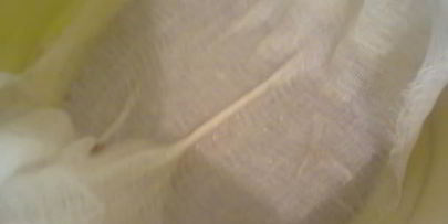 прохладительный напиток из шиповника