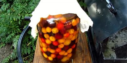 вино из алычи простое домашнее