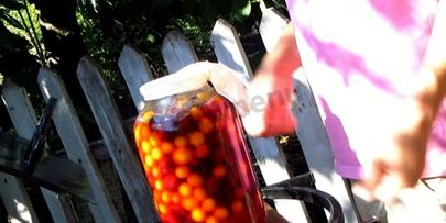 вино из алычи простое домашнее