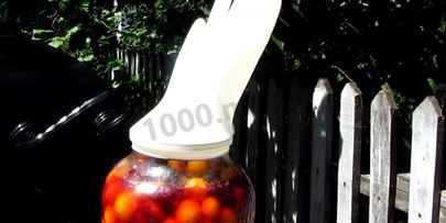 вино из алычи простое домашнее