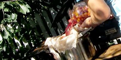 вино из алычи простое домашнее