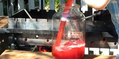 вино из алычи простое домашнее